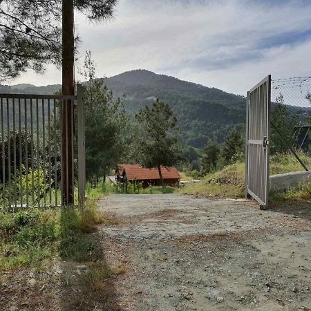 The Cosy Mountain Cabin With Stunning Views Near Troodos Kato Amiandos Dış mekan fotoğraf