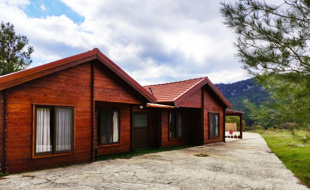 The Cosy Mountain Cabin With Stunning Views Near Troodos Kato Amiandos Dış mekan fotoğraf