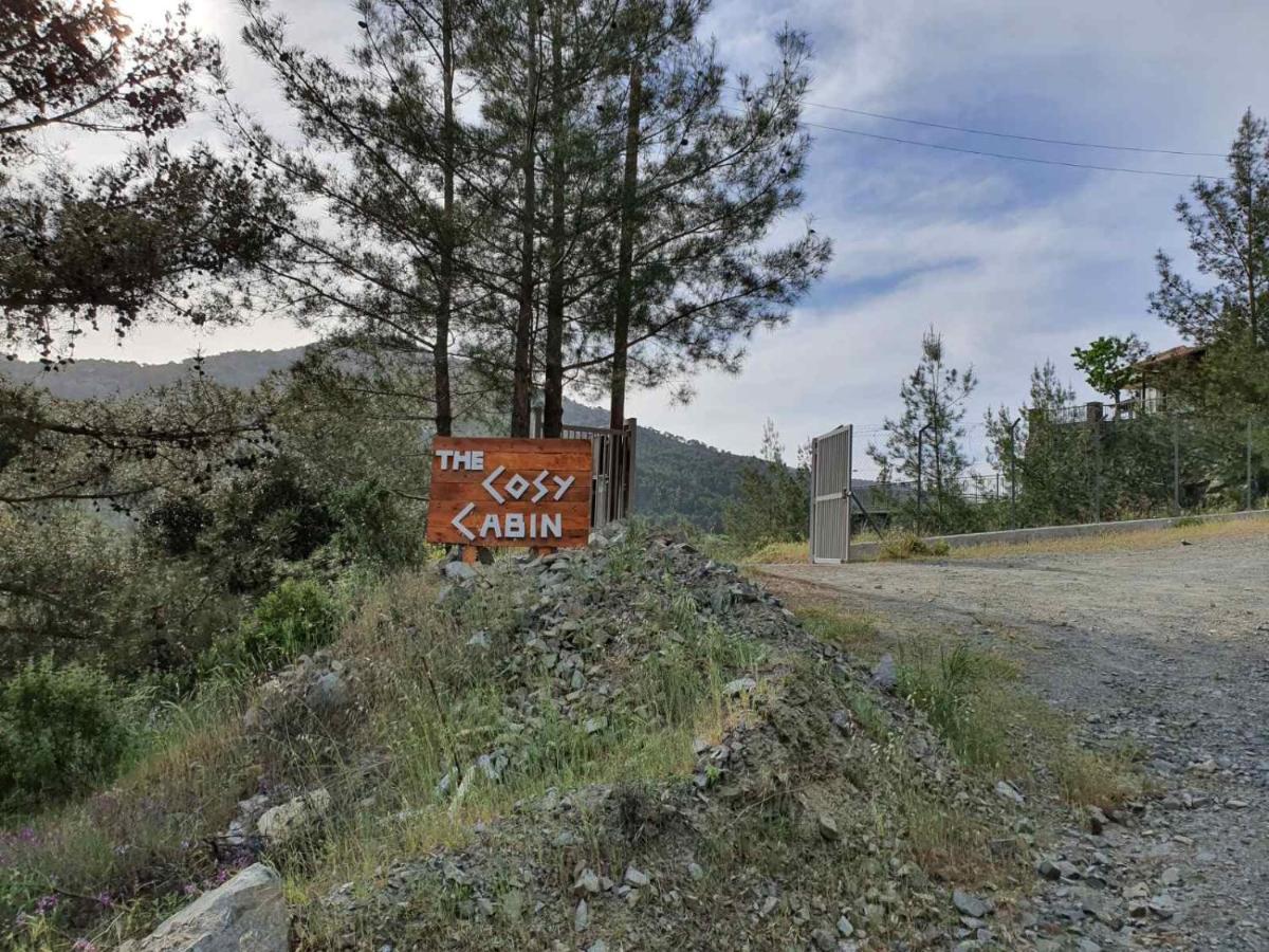 The Cosy Mountain Cabin With Stunning Views Near Troodos Kato Amiandos Dış mekan fotoğraf